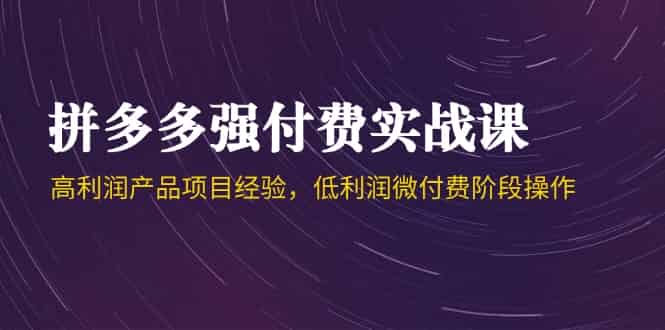 （14874期）拼多多强付费实战课-44期，高利润产品项目经验，低利润微付费阶段操作-有道网创