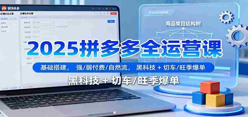 2025拼多多全运营课：基础搭建，强/弱付费/自然流，黑科技 + 切车/旺季爆单-有道网创