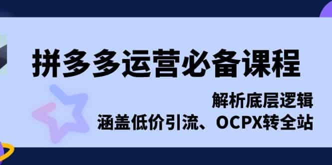 （13700期）拼多多运营必备课程，解析底层逻辑，涵盖低价引流、OCPX转全站-有道网创
