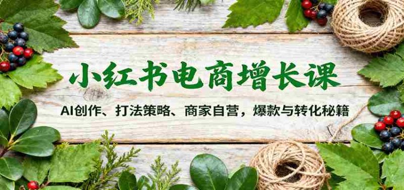 小红书电商增长课：AI创作、打法策略、商家自营，爆款与转化秘籍-有道网创