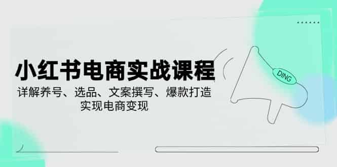 （14549期）小红书电商实战课程，详解养号、选品、文案撰写、爆款打造，实现电商变现-有道网创