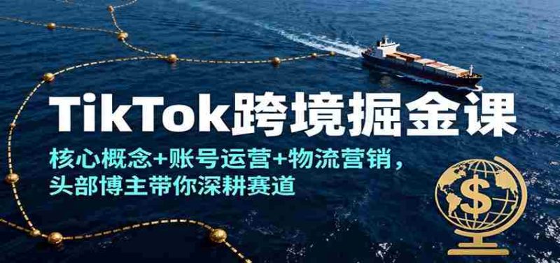 TikTok跨境掘金课，核心概念+账号运营+物流营销，头部博主带你深耕赛道-有道网创
