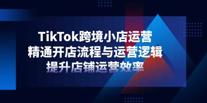 （14369期）TikTok跨境小店运营，精通开店流程与运营逻辑，提升店铺运营效率-有道网创