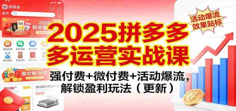 2025拼多多运营实战课：强付费+微付费+活动爆流，解锁盈利玩法（更新）-有道网创