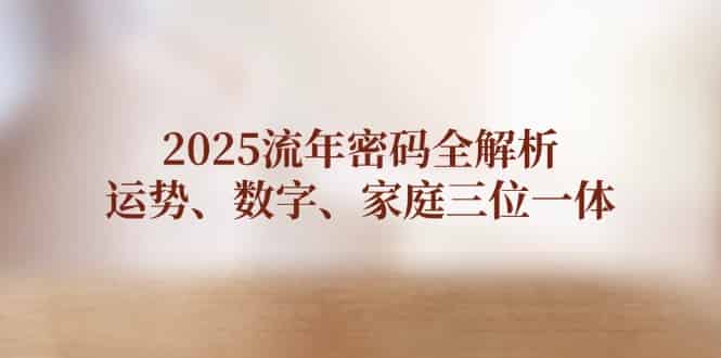 （14466期）2025流年密码全解析，运势、数字、家庭三位一体-有道网创