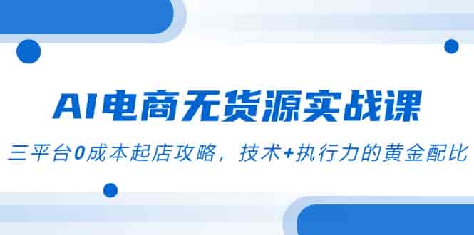 （14982期）AI电商无货源实战课，三平台0成本起店攻略，技术+执行力的黄金配比-有道网创
