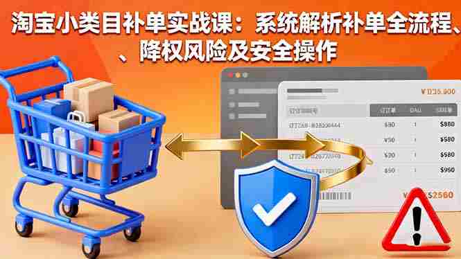 （16239期）淘宝小类目补单实战课：系统解析补单全流程、降权风险及安全操作-有道网创