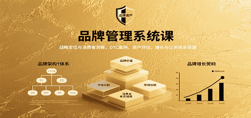 品牌管理系统课：战略定位与消费者洞察，DTC案例、资产评估，增长与公关体系搭建-有道网创
