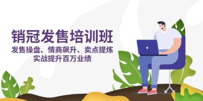 （14203期）销冠 发售培训班：发售 操盘+情商 飙升+卖点 提炼，实战提升百万业绩-有道网创