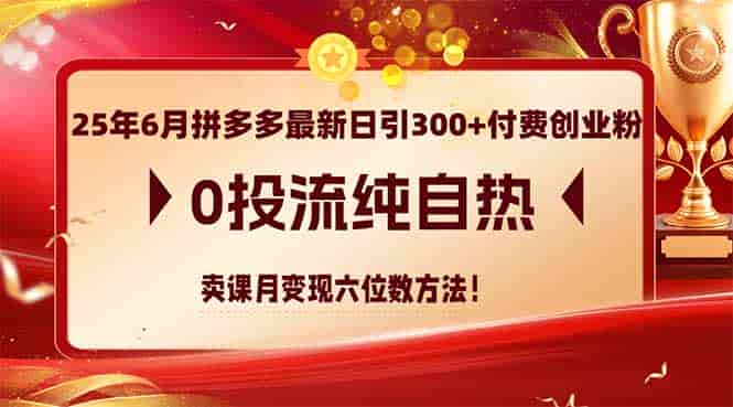（14989期）25年6月拼多多最新日引300+付费创业粉，0投流纯自热 卖课月变现六位数方法-有道网创