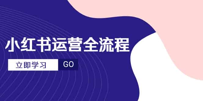 （14861期）小红书运营全流程，爆款选题文案，视频制作技巧，进阶达人宝典-有道网创