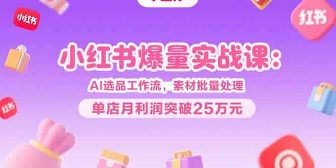 （15462期）小红书爆量实战课：AI选品工作流，素材批量处理，单店月利润突破25万元-有道网创