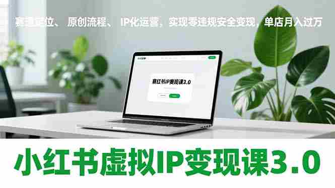 （17029期）小红书虚拟IP变现课3.0，赛道定位、原创流程、IP化运营，实现零违规安全变现，单店月入过万-有道网创