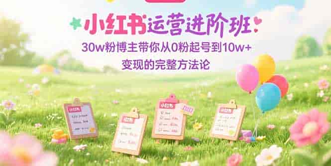 (15318期)小红书运营进阶班:30w粉博主带你从0粉起号到10w+变现的完整方法论-有道网创
