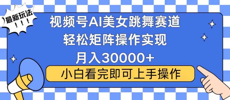 （13813期）视频号蓝海赛道玩法，当天起号，拉爆流量收益，小白也能轻松月入30000+-有道网创