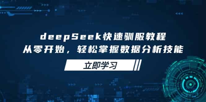 (14536期)deepSeek快速驯服教程,从零开始,轻松掌握数据分析技能-有道网创