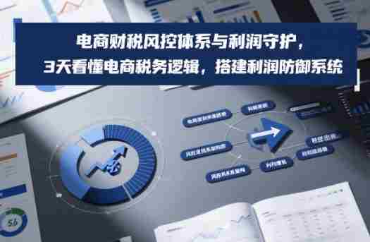 电商财税风控体系与利润守护，3天看懂电商税务逻辑，搭建利润防御系统-有道网创