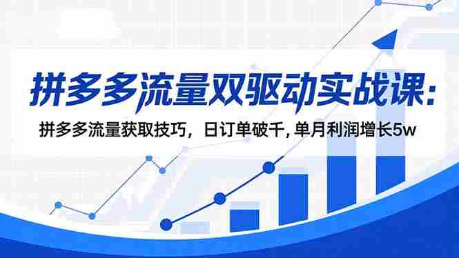 （16563期）拼多多流量双驱动实战课：拼多多流量获取技巧，日订单破千,单月利润增长5w-有道网创