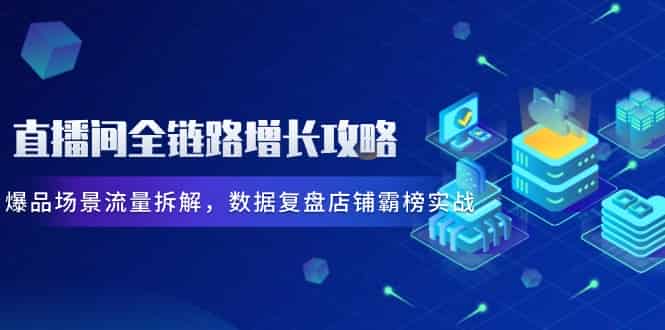 （14721期）直播间全链路增长攻略，爆品场景流量拆解，数据复盘店铺霸榜实战-有道网创