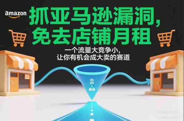 抓亚马逊漏洞,免去店铺月租,一个流量大竞争小,让你有机会成大卖的赛道-有道网创