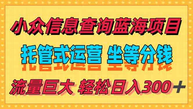（15216期）稳定日入300＋，小众信息查询蓝海项目，全程懒人式托管，解放你的时间-有道网创