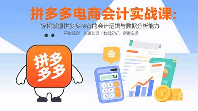 (15767期)拼多多电商会计实战课:轻松掌握拼多多特有的会计逻辑与数据分析能力-有道网创