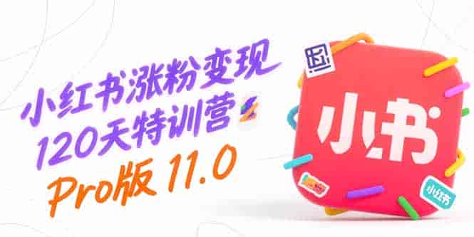 （15432期）小红书涨粉变现120天特训营Pro版11.0：从0到1掌握平台运营,内容制作和变现-有道网创