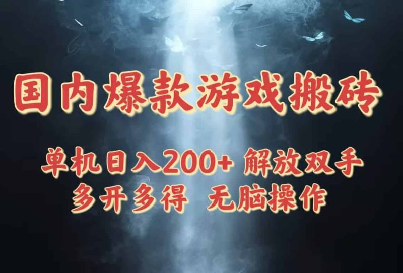 （14659期）国内爆款游戏搬砖，单机日入200+，长期稳定，多开多得，无脑操作-有道网创