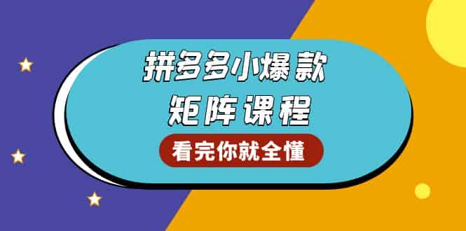 （13699期）拼多多爆款矩阵课程：教你测出店铺爆款，优化销量，提升GMV，打造爆款群-有道网创