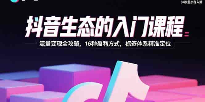 （15856期）抖音生态的入门课程：流量变现全攻略，16种盈利方式，标签体系精准定位-有道网创