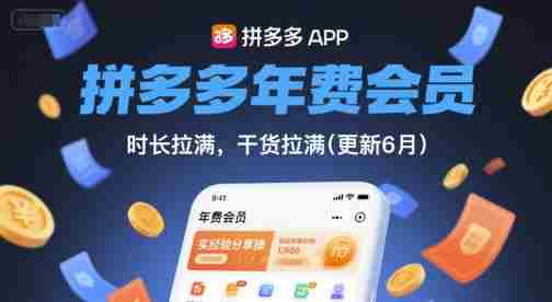 拼多多年费会员，实经验分享操，时长拉满，干货拉满(更新10月)-有道网创