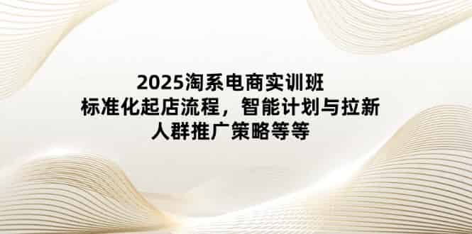 （14522期）2025淘系电商实训班：标准化起店流程，智能计划与拉新，人群推广策略等等-有道网创