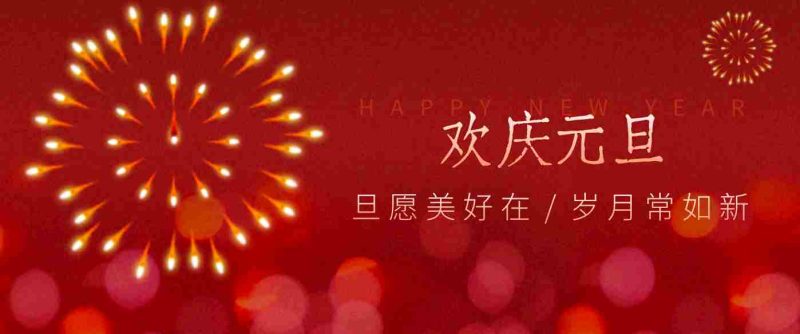 每年新年必火的红利项目，视频号祝福类视频玩法，多种变现月入万元！-有道网创