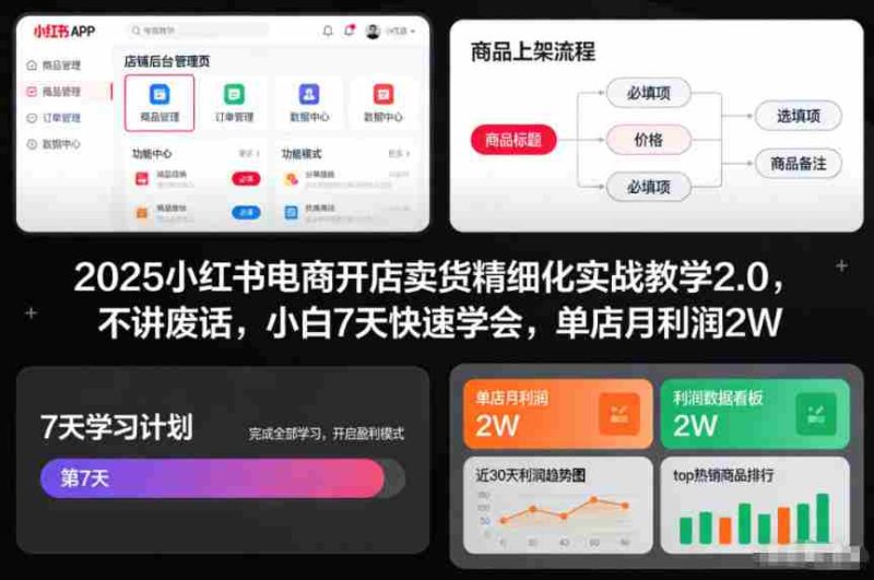 2025小红书电商开店卖货精细化实战教学2.0，不讲废话，小白7天快速学会，单店月利润2W-有道网创