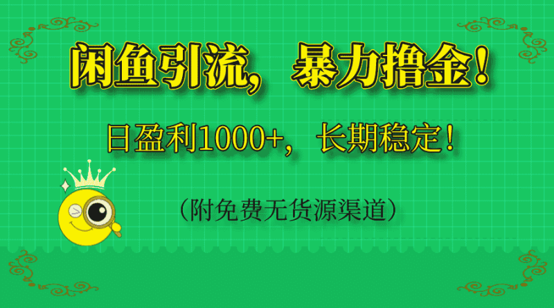 （14647期）闲鱼引流，暴力撸金，日盈利1000+，长期稳定！（附免费无货源渠道）-有道网创