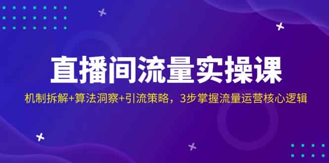 （14122期）直播间流量实操课：机制拆解+算法洞察+引流策略，3步掌握流量运营核心逻辑-有道网创