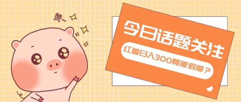 （13622期）全新红薯浏览，打破常规 双端操作，每天运行6小时，让你获得工作以外的…-有道网创