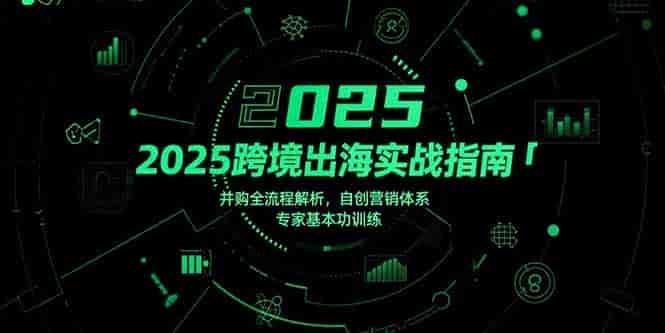 （15503期）2025跨境出海实战指南，并购全流程解析，自创营销体系，专家基本功训练-有道网创