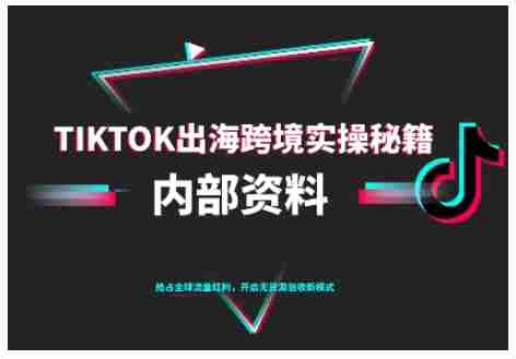 TikTok跨境电商0-1搭建运营,TK出海跨境实操秘籍(10月更新)-有道网创