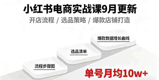 (16120期)小红书电商实战课9月更新,开店流程/选品策略/爆款店铺打造,单号月均10w+-有道网创
