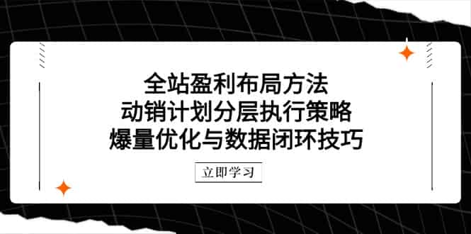 (14698期)全站盈利布局方法:动销计划分层执行策略,爆量优化与数据闭环技巧-有道网创