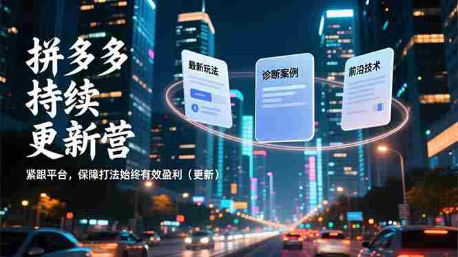 (16987期)拼多多持续更新营,最新玩法、诊断案例、前沿技术,紧跟平台,保障打法始终有效盈利(更新)-有道网创