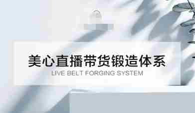 直播带货锻造体系课，5G时代美心一站式帮你开启直播带货之路【音频】-有道网创