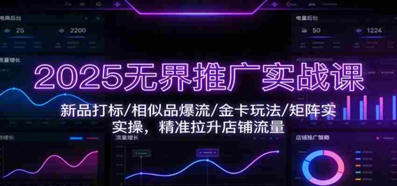 2025无界推广实战课：新品打标/相似品爆流/金卡玩法/矩阵实操，精准拉升店铺流量-有道网创