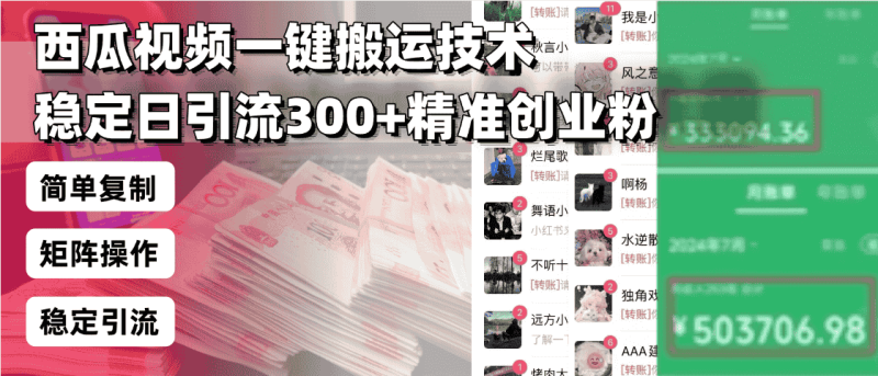 （13961期）西瓜视频一键搬运技术，稳定日引流300+精准创业粉，简单可复制给团队，…-有道网创