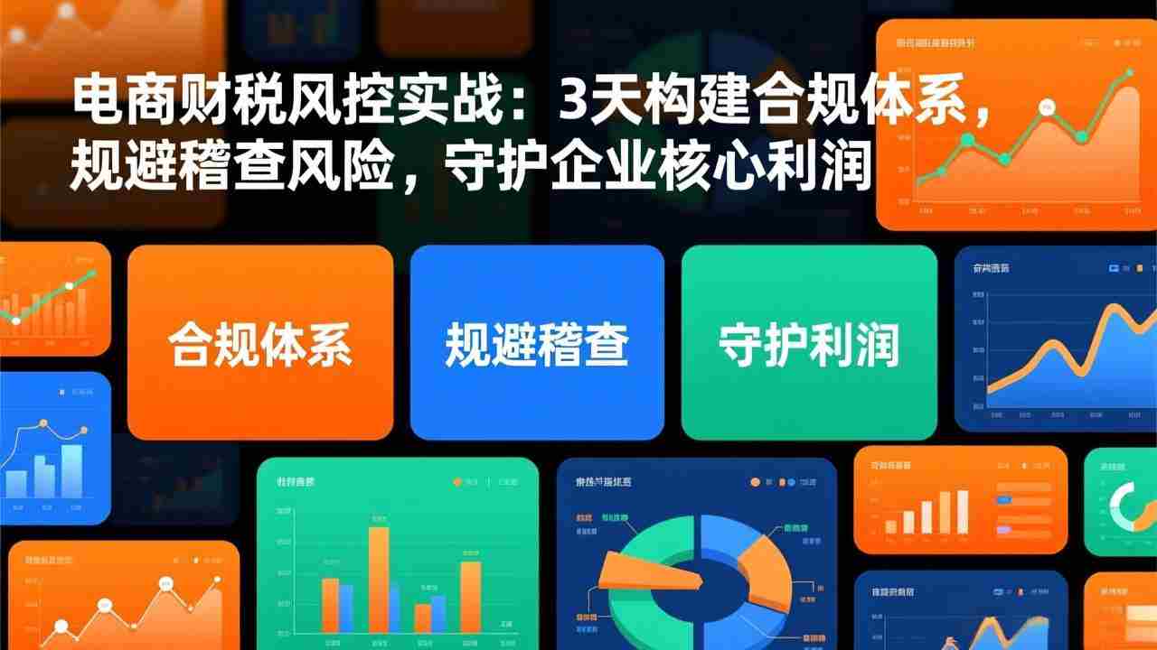 （17197期）电商财税风控实战：3天构建合规体系，规避稽查风险，守护企业核心利润-有道网创