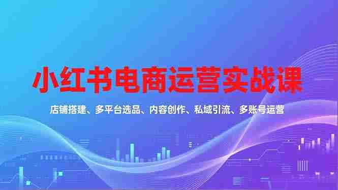 （16695期）小红书电商运营实战课，店铺搭建、多平台选品、内容创作、私域引流、多账号运营等玩法-有道网创
