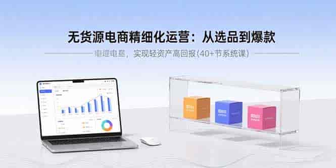 (15896期)无货源电商精细化运营:从选品到爆款,实现轻资产高回报(40+节系统课)-有道网创