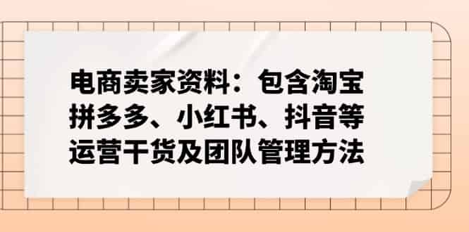 (14354期)电商卖家资料:包含淘宝、拼多多、小红书、抖音等运营干货及团队管理方法-有道网创