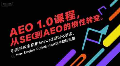 AEO 1.0 课程，从SEO到AE0的基命性转变，手把手教会你用AnswerEngineOptimization技术抢回流量（更新）-有道网创